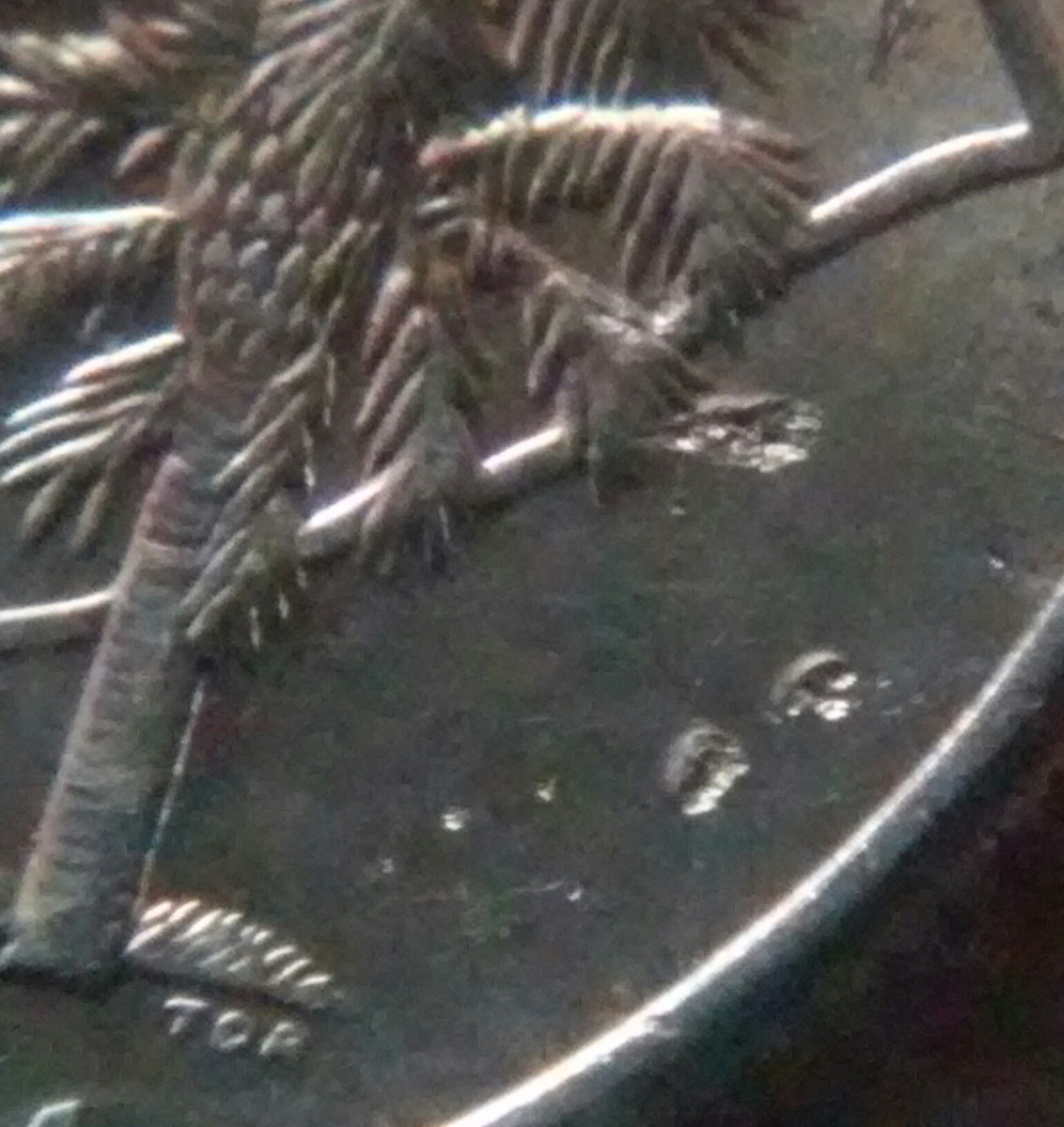 2000-P-South-Carolina